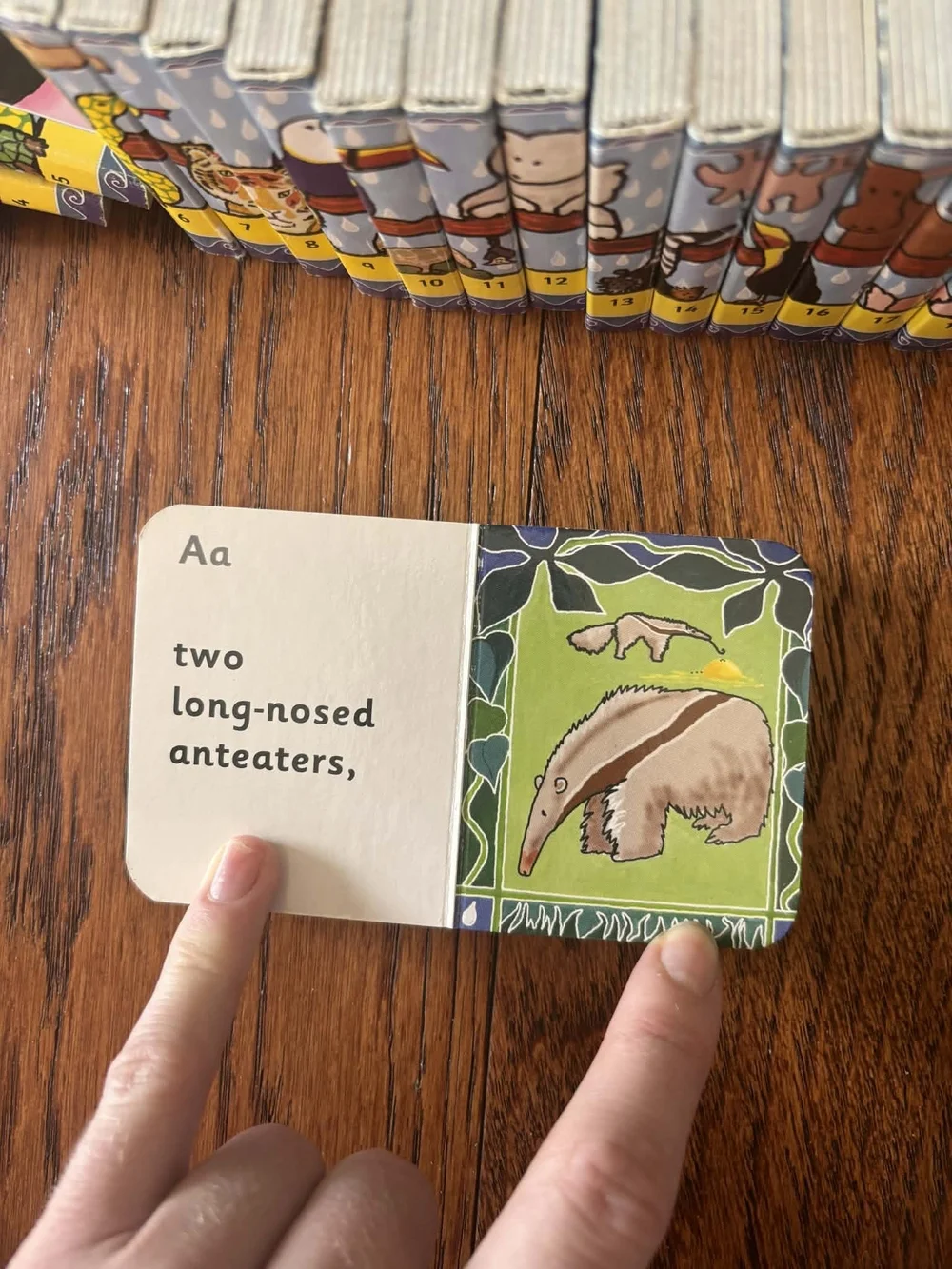 Alphabet Animal Books - Noah's Arc